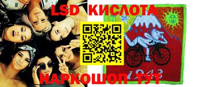 твердый Гусев